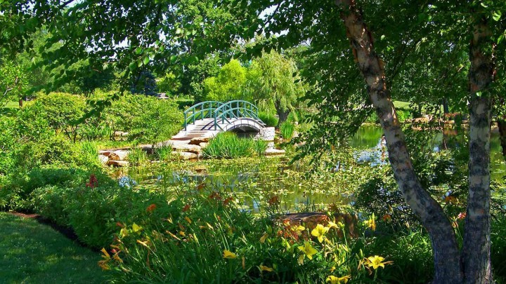 印象主義音楽って知ってる？ その1