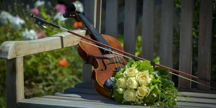 ヴァイオリンの維持費は月平均いくらかかるのか